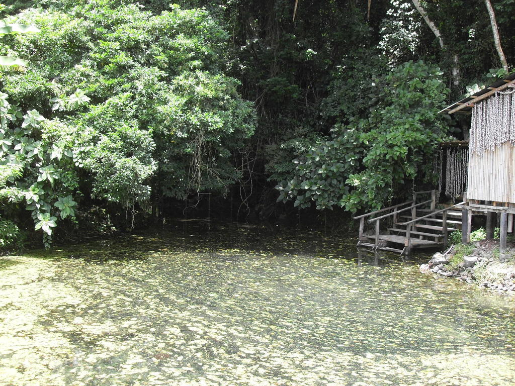 Reserva Ecologica Nanciyaga Catemaco Exterior photo
