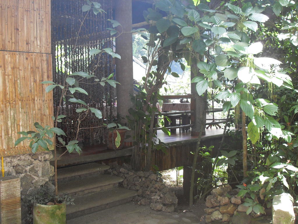 Reserva Ecologica Nanciyaga Catemaco Exterior photo